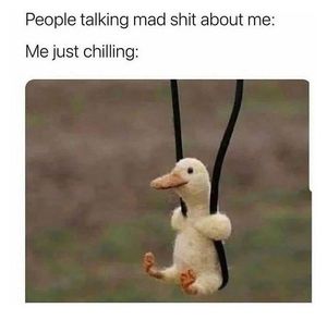 Image post by @the.virtual.bitch on Instagram