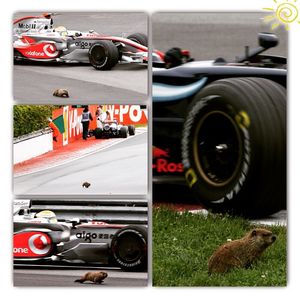 Image post by @f1gpcanada on Instagram