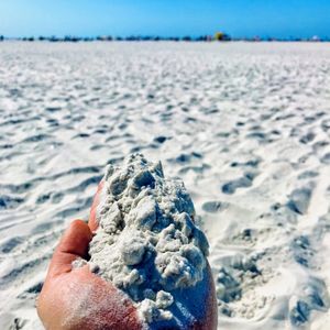 Image post by @visitsarasotacounty on Instagram