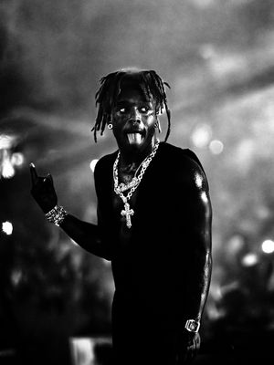 Image post by @rollingloud on TikTok
