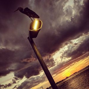 Image post by @visitsarasotacounty on Instagram