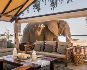 Image post by @chiawasafaris on Instagram