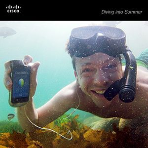 Image post by @cisco on Instagram