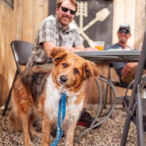 Image post by @sudwerkbrew on Instagram