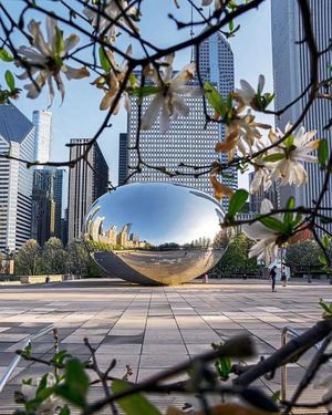 Image post by @chicago.explore on Instagram