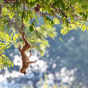 Image post by @chiawasafaris on Instagram