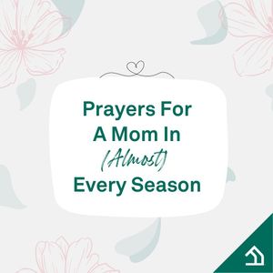 Image post by @familylifeinsta on Instagram