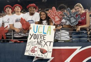 Image post by @zonazooofficial on Instagram