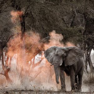 Image post by @chiawasafaris on Instagram