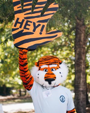 Image post by @aubiethetiger01 on Instagram