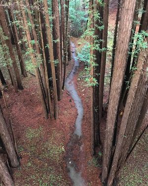 Image post by @ucsc on Instagram