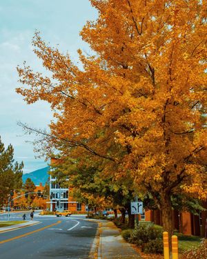 Image post by @nauflagstaff on Instagram