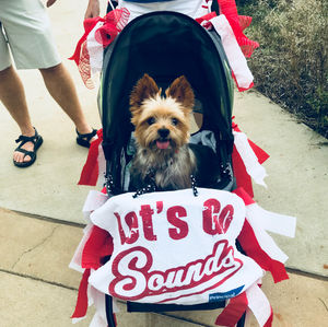 Image post by @nashvillesounds on Instagram