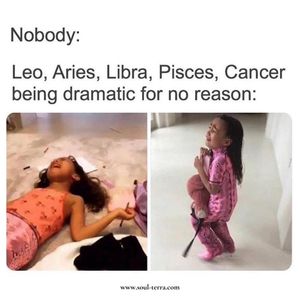Image post by @soulterra on Instagram
