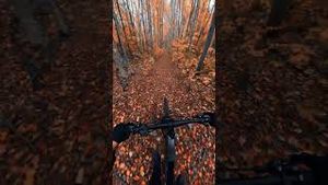 Video post by @gopro on YouTube