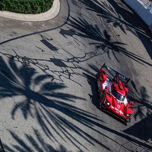 Image post by @pipoderani on Instagram