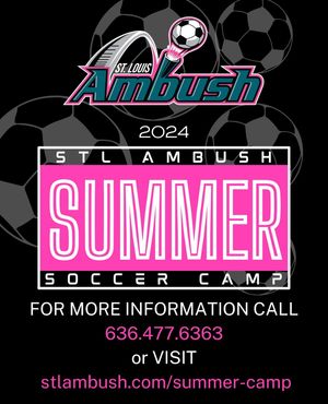 Image post by @stlouisambush on Instagram
