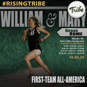 Image post by @tribeathletics on Instagram