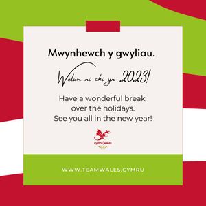 Image post by @team_wales on Instagram
