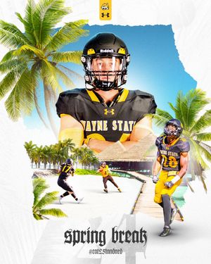 Image post by @WayneStFootball on Twitter/X