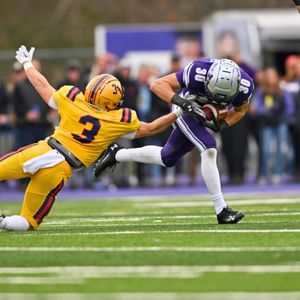 Image post by @westernmustangs on Instagram