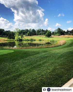 Image post by @uvawomensgolf on Instagram