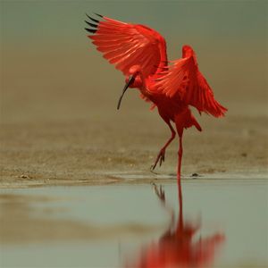 Image post by @natgeo on Instagram