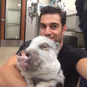 Image post by @animalplanet on Instagram