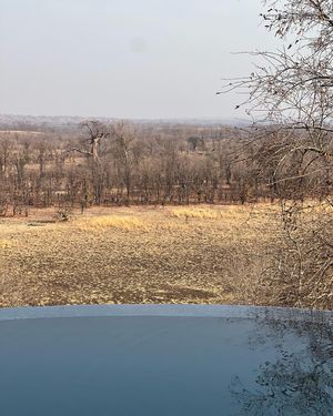 Image post by @chiawasafaris on Instagram