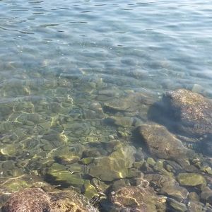 Image post by @alessandra_chiappa on Instagram