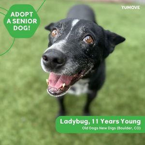 Image post by @YuMOVE.US on Facebook
