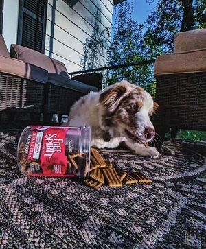 Image post by @triumphpetfood on Instagram