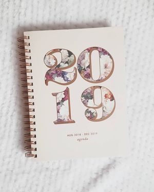 Image post by @amanda_carmela on Instagram