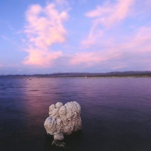 Image post by @discovery on Instagram