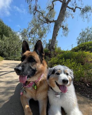 Image post by @bluefuji on Instagram