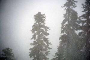 Image post by @sierra_at_tahoe on Instagram