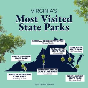 Image post by @vadogwoodnews on Instagram