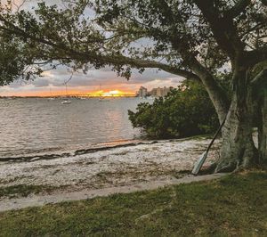 Image post by @visitsarasotacounty on Instagram