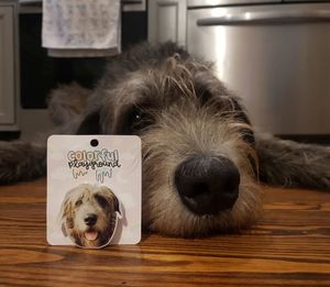 Image post by @thesavannahwolfhound on Instagram