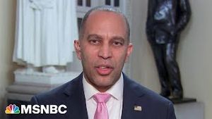 Video post by @msnbc on YouTube