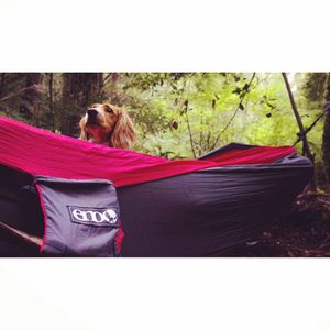 Image post by @kombilifeadventures on Instagram