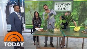 Video post by @today on YouTube