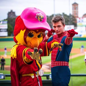 Image post by @rocredwings on Instagram