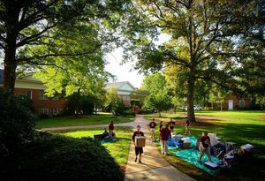 Image post by @elonuniversity on Instagram