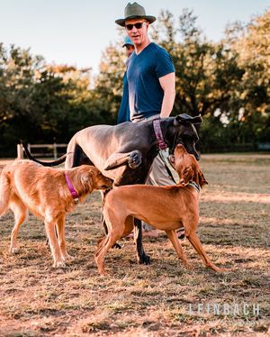 Image post by @leinbachphotography on Instagram