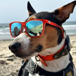 Image post by @knockaround on Instagram
