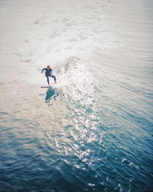 Image post by @willtrogdon on Instagram