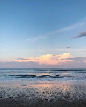 Image post by @themainemag on Instagram
