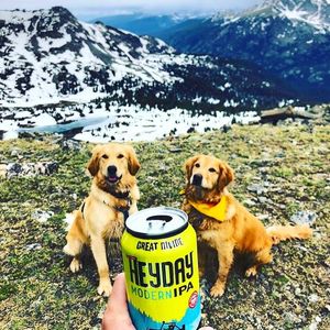 Image post by @greatdividebrew on Instagram