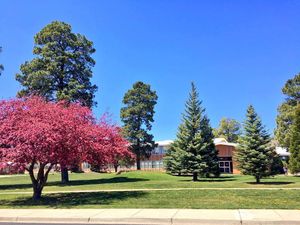 Image post by @nauflagstaff on Instagram